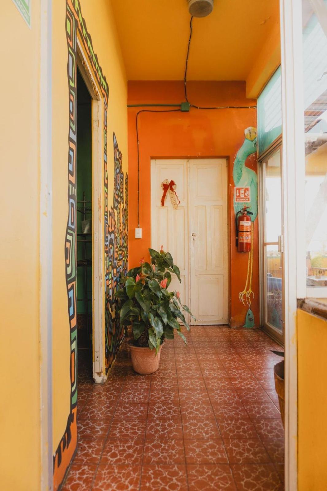 Casa Kraken Hostel Puerto Vallarta Exterior foto